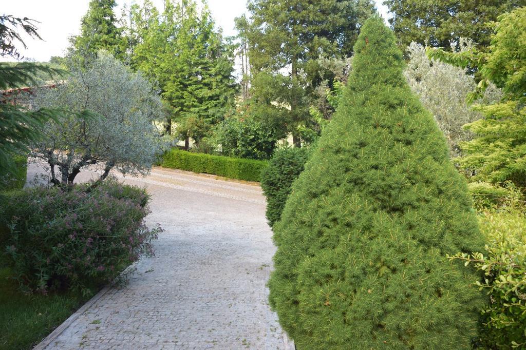Quinta Da Boa Ventura Hotel Bragança Buitenkant foto