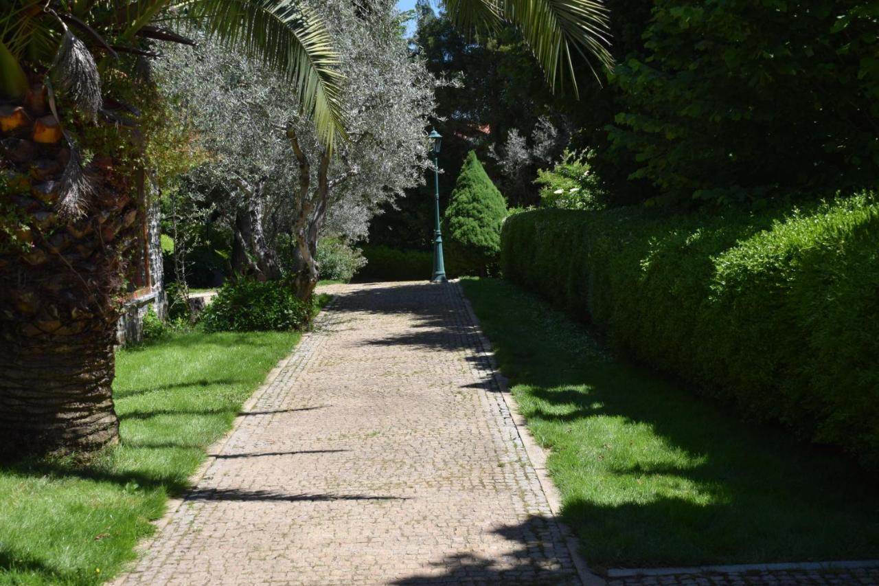 Quinta Da Boa Ventura Hotel Bragança Buitenkant foto